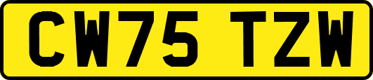 CW75TZW