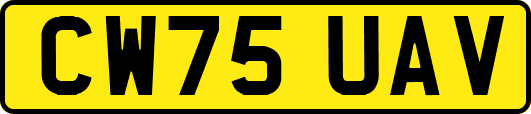 CW75UAV