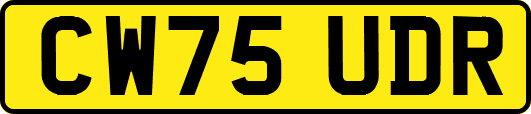 CW75UDR