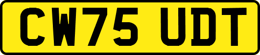 CW75UDT