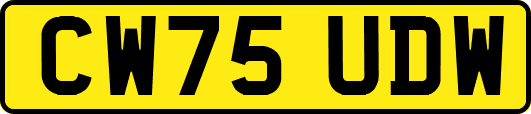 CW75UDW