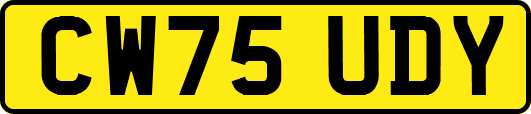 CW75UDY