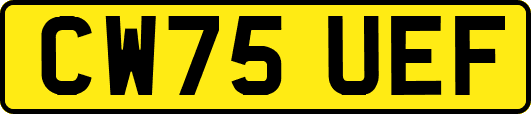 CW75UEF
