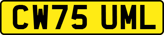 CW75UML