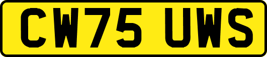 CW75UWS