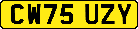 CW75UZY