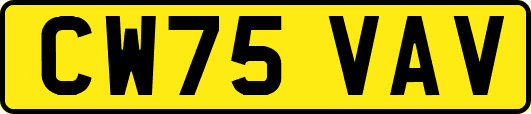 CW75VAV