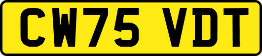 CW75VDT