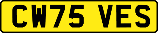 CW75VES