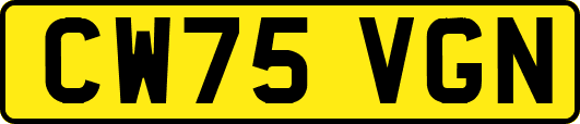 CW75VGN