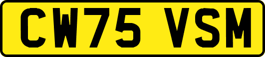 CW75VSM