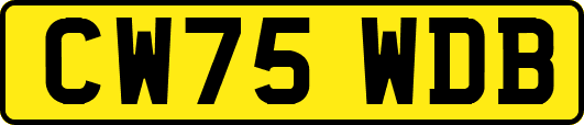 CW75WDB