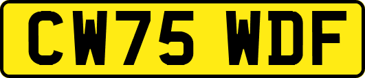 CW75WDF
