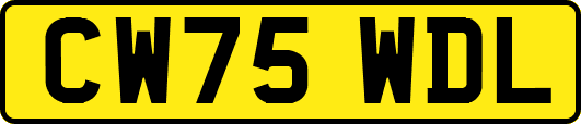 CW75WDL