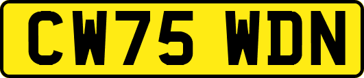 CW75WDN