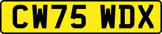 CW75WDX
