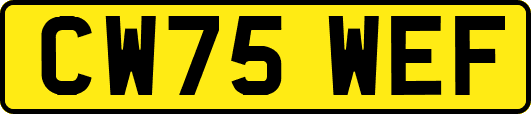 CW75WEF