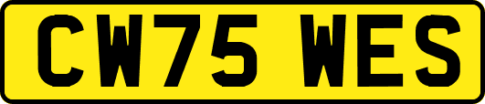 CW75WES
