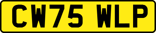 CW75WLP