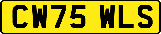 CW75WLS