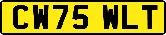 CW75WLT