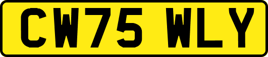 CW75WLY
