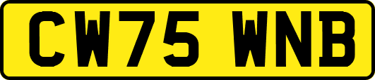CW75WNB