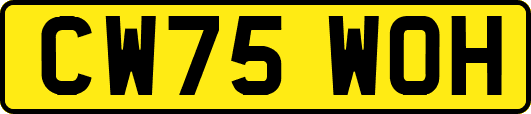 CW75WOH