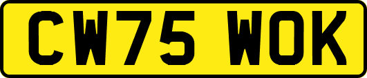 CW75WOK