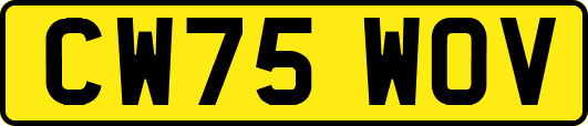 CW75WOV