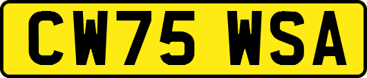 CW75WSA