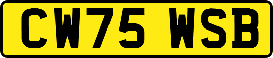 CW75WSB