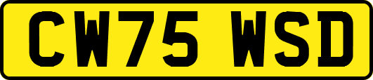 CW75WSD