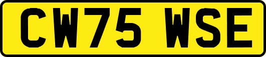 CW75WSE