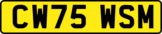 CW75WSM