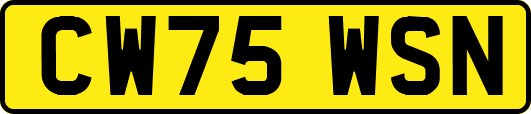 CW75WSN