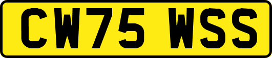 CW75WSS