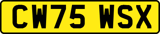 CW75WSX