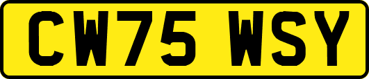 CW75WSY