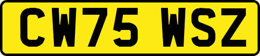 CW75WSZ