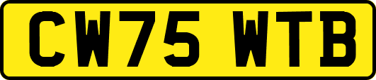 CW75WTB
