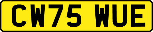 CW75WUE