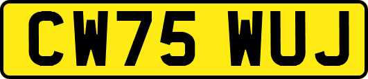 CW75WUJ
