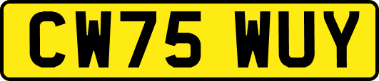 CW75WUY