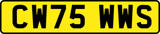 CW75WWS