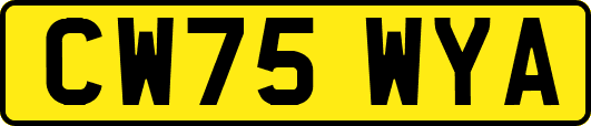 CW75WYA