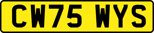 CW75WYS