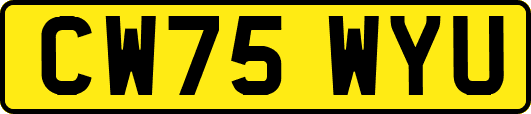 CW75WYU