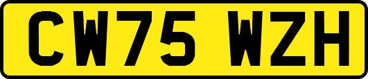 CW75WZH