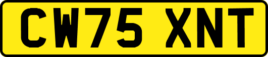 CW75XNT